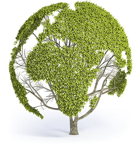 ecologia e lavorazioni